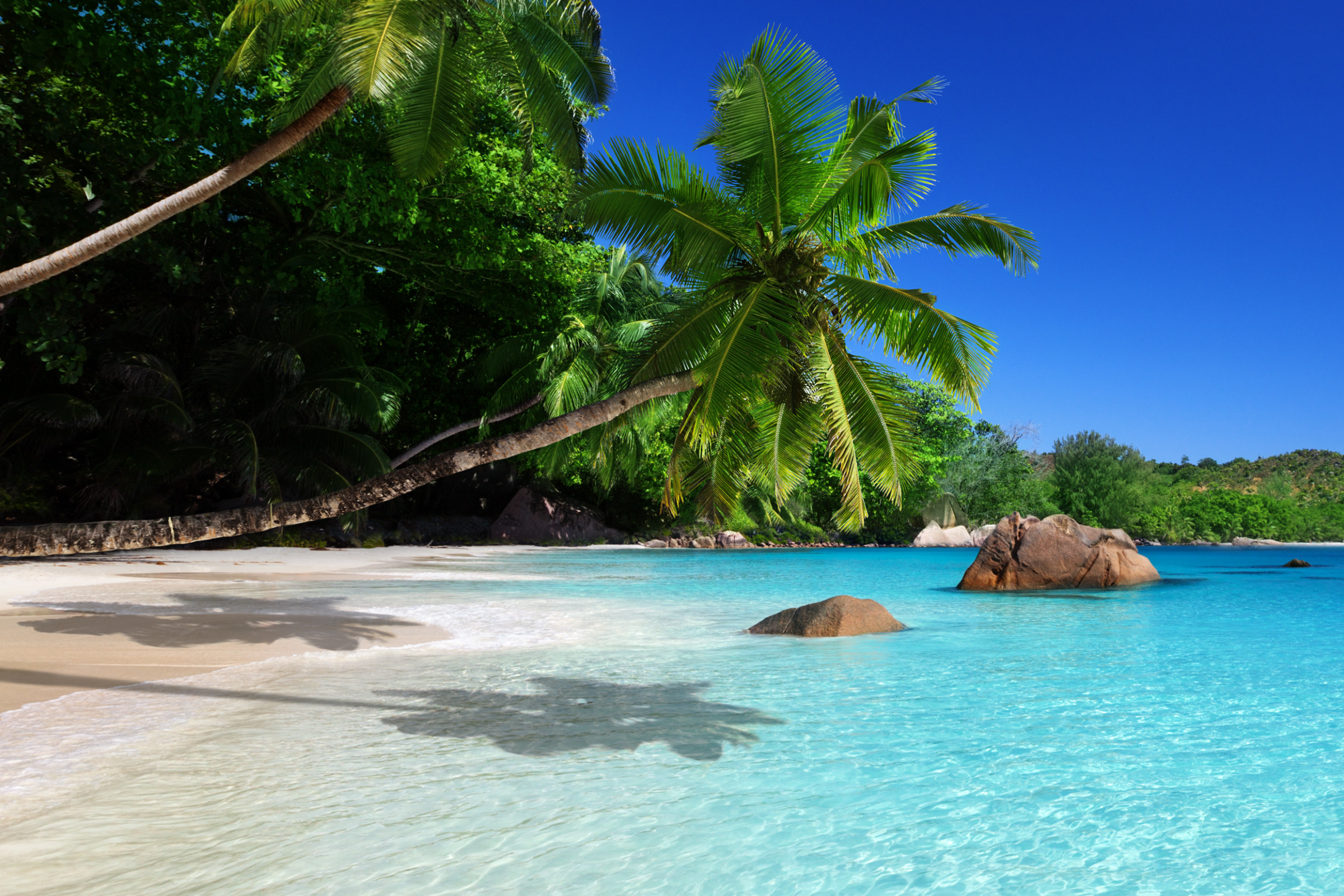 astove island.webp